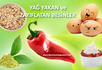 zayiflatan besinler