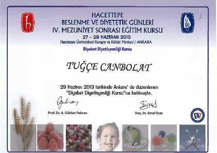 diyabet diyetisyenligi kursu
