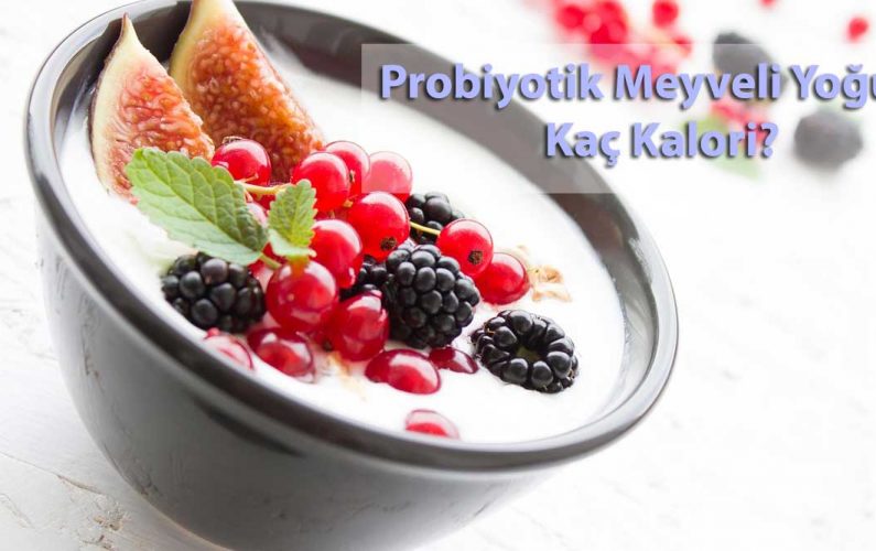 internet diyetisyeni