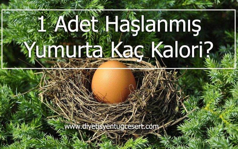 kişiye özel diyet-diyetisyen Tuğçe Sert