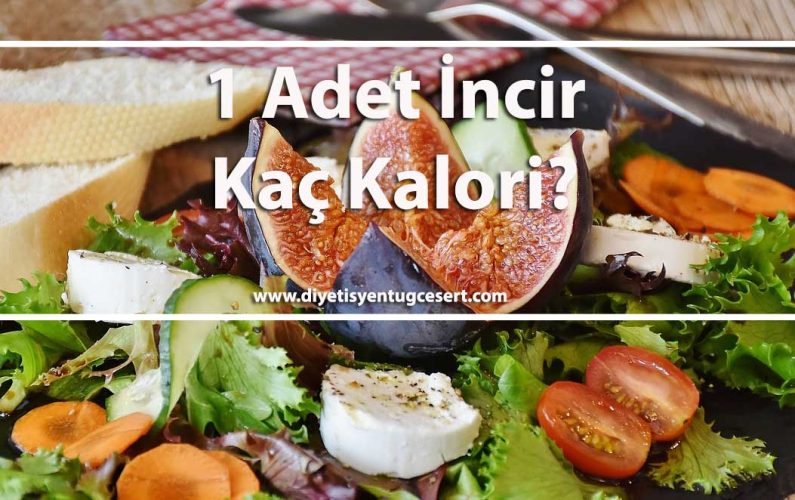 internet diyetisyeni